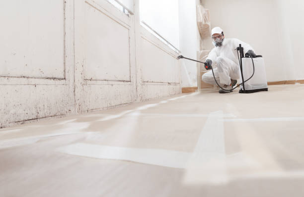 24/7 Emergency Mold Remediation experts in Washington, VA